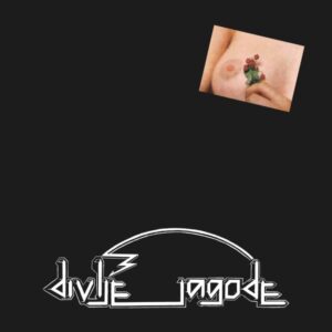 DIVLJE JAGODE – DIVLJE JAGODE (LP)